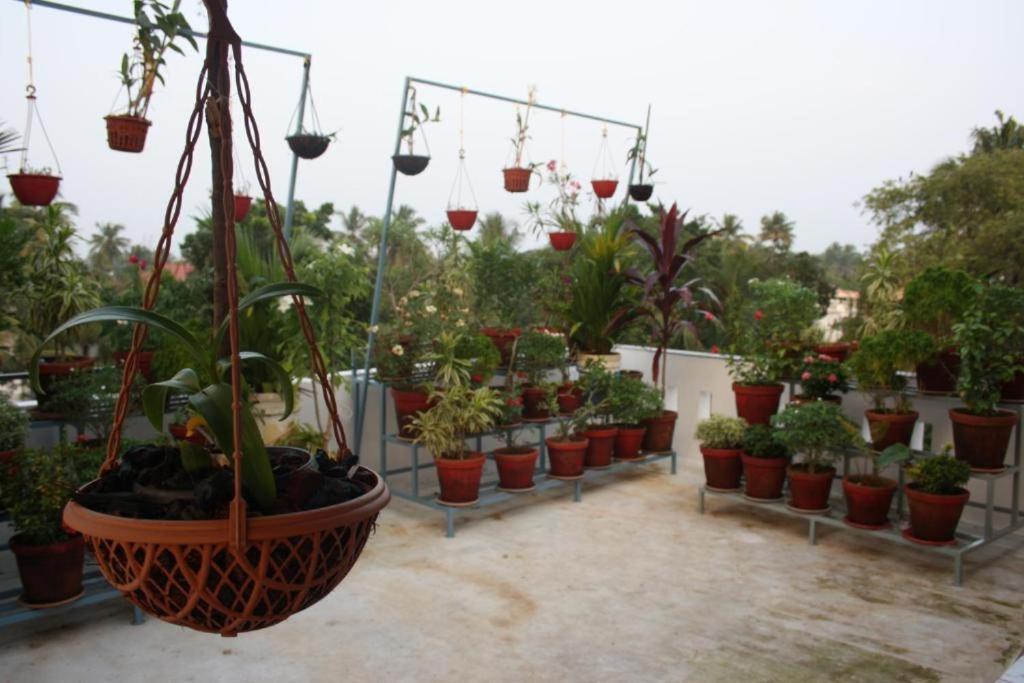 Aaron'S Homestay Kochi Exterior foto
